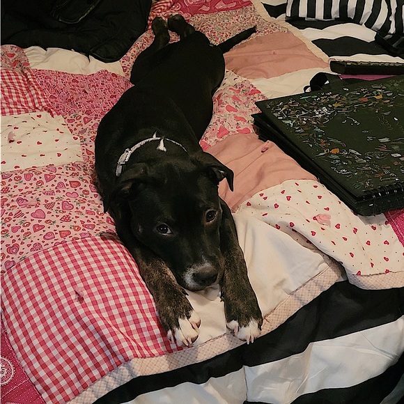 Moi - Picture 4 of 6